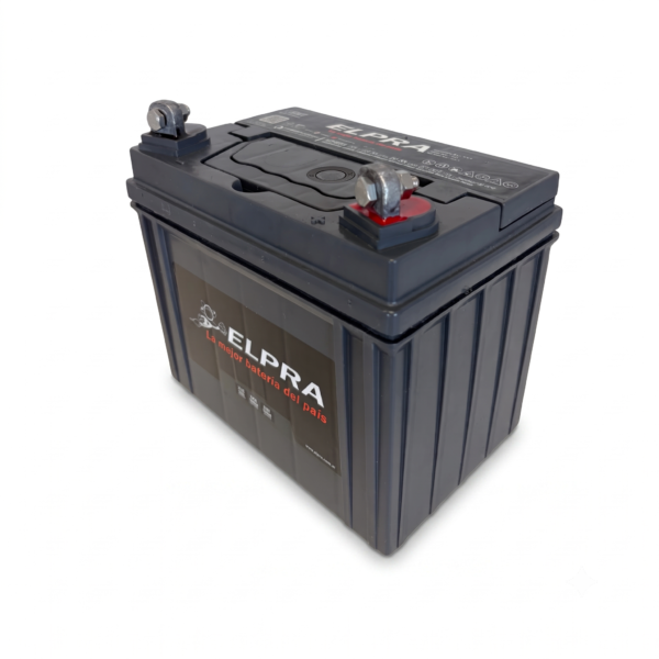 ELPRA 12V 24AH (TRACTOR CORTACÉSPED)